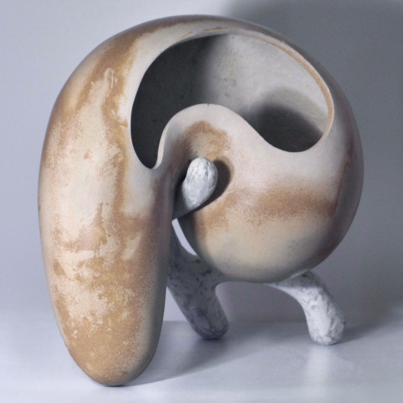 Anatomy Symbiosis
